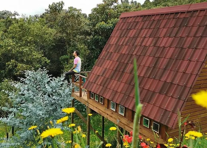 Chalets En Santa Elena En Medio Del Bosque