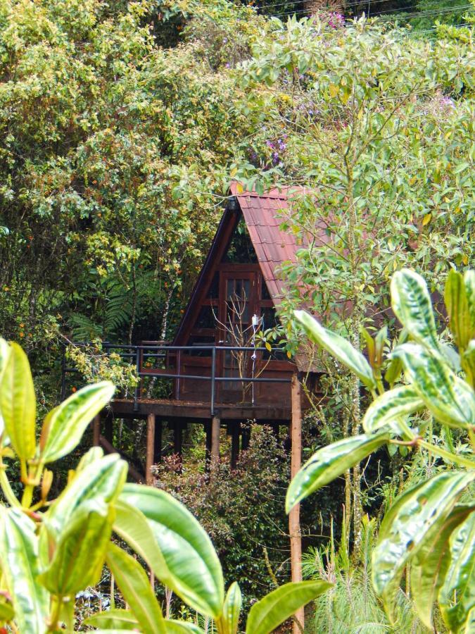 Holiday home En Santa Elena En Medio Del Bosque